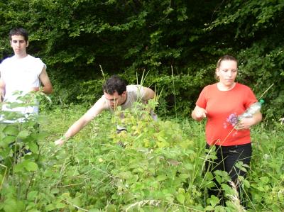 53: Searching berries during hiking up.