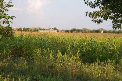 63: rural area in Moldova