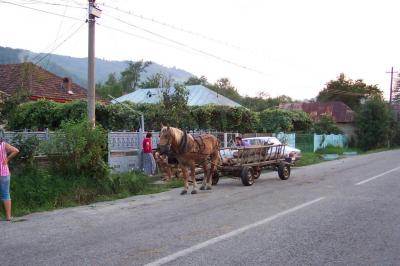 40: horse waggon at the third bus breakdown