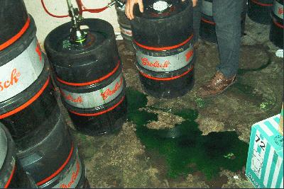 29: En niet alleen het bier was groen, de kelder na het kleuren van het bier ook. Met dank aan het SB ;-)