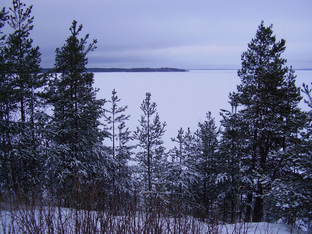 Snowflakes with AEGEE-Tampere! (31.01.2008 - 03.02.2008) - Tampere - 4