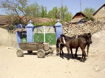 15: Horses taking a nap