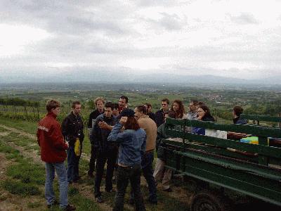 3: Like the cattle on the farm, a bumpy ride but a lot of fun!