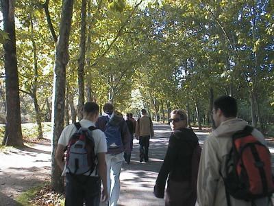 9: While our luggage is transported by car we have to walk a while from the Metro station to the youth hostel